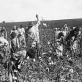 The Impact of Plantations in Broward County, FL on the Civil Rights Movement